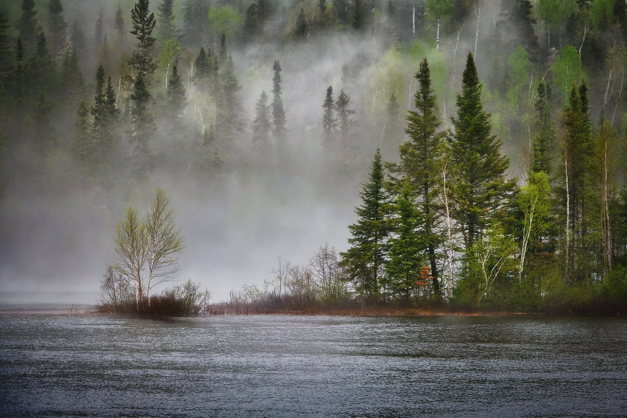 river forest fog landscape trees 7212351