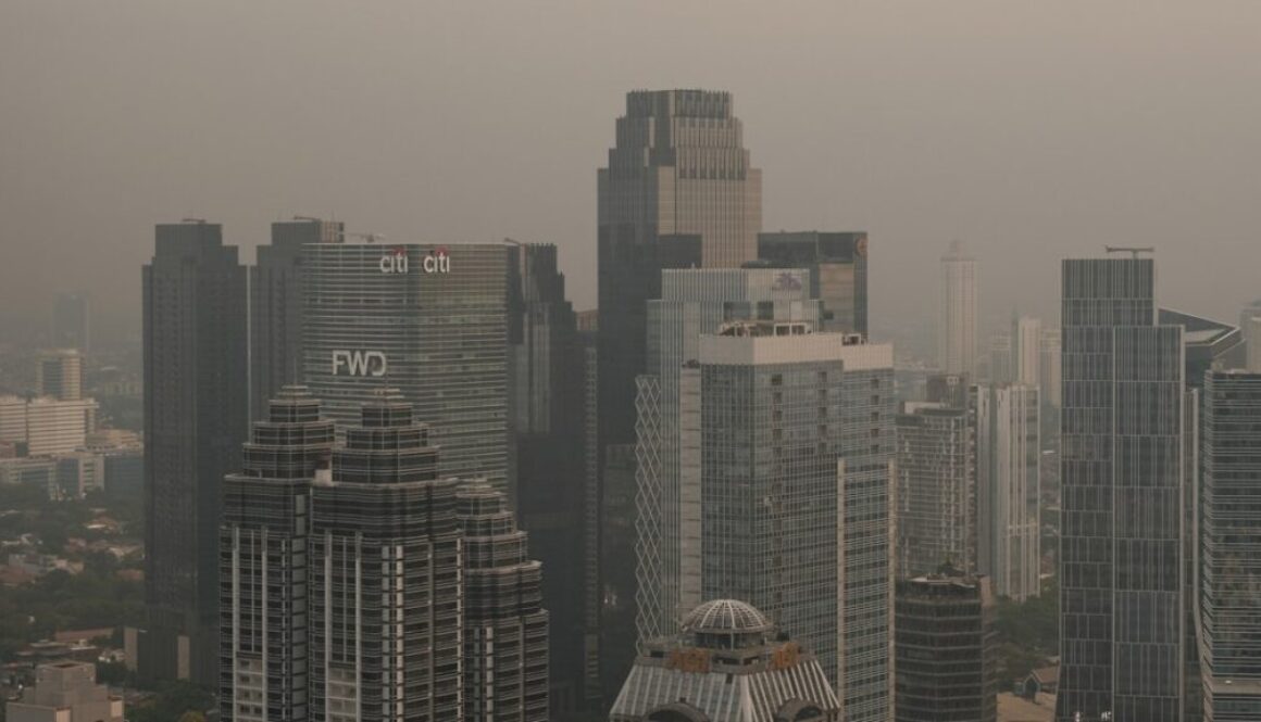 Skutki zanieczyszczenia powietrza - jak wpływa na zwierzęta i ludzi