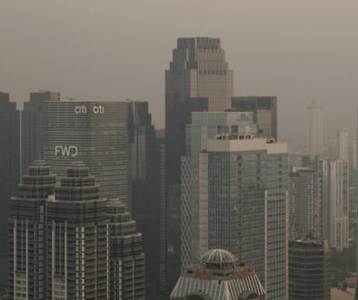 Skutki zanieczyszczenia powietrza - jak wpływa na zwierzęta i ludzi
