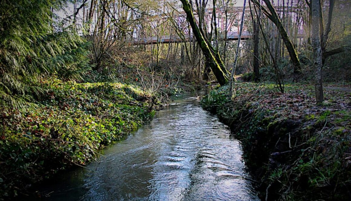 Co to jest ekosystem rzeki — poznaj jego unikalne cechy i znaczenie