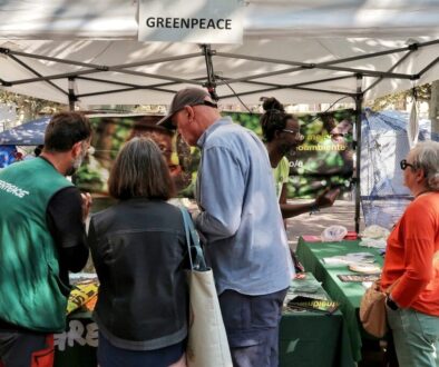 Co to jest ekologia społeczna - jej znaczenie dla środowiska i ludzi