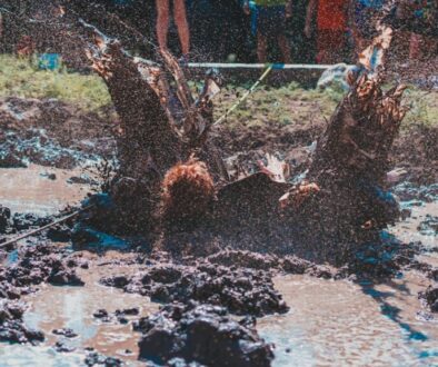 Jak zanieczyszczenie gleby wpływa na ekosystem - zagrożenia i rozwiązania